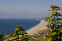 Dorset Coast