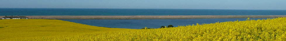 Dorset Coast Chesil beach and the fleet near Weymouth