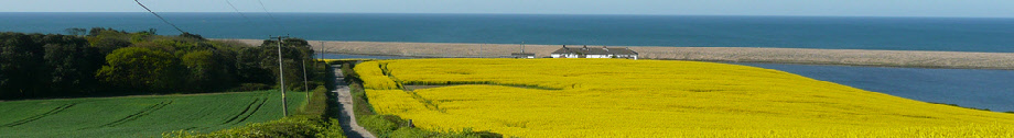 Dorset cottages on the dorset coast
